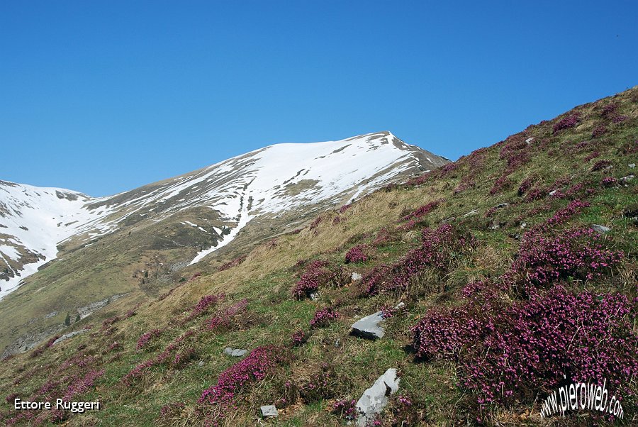 4 - Pizzo Baciamorti.JPG